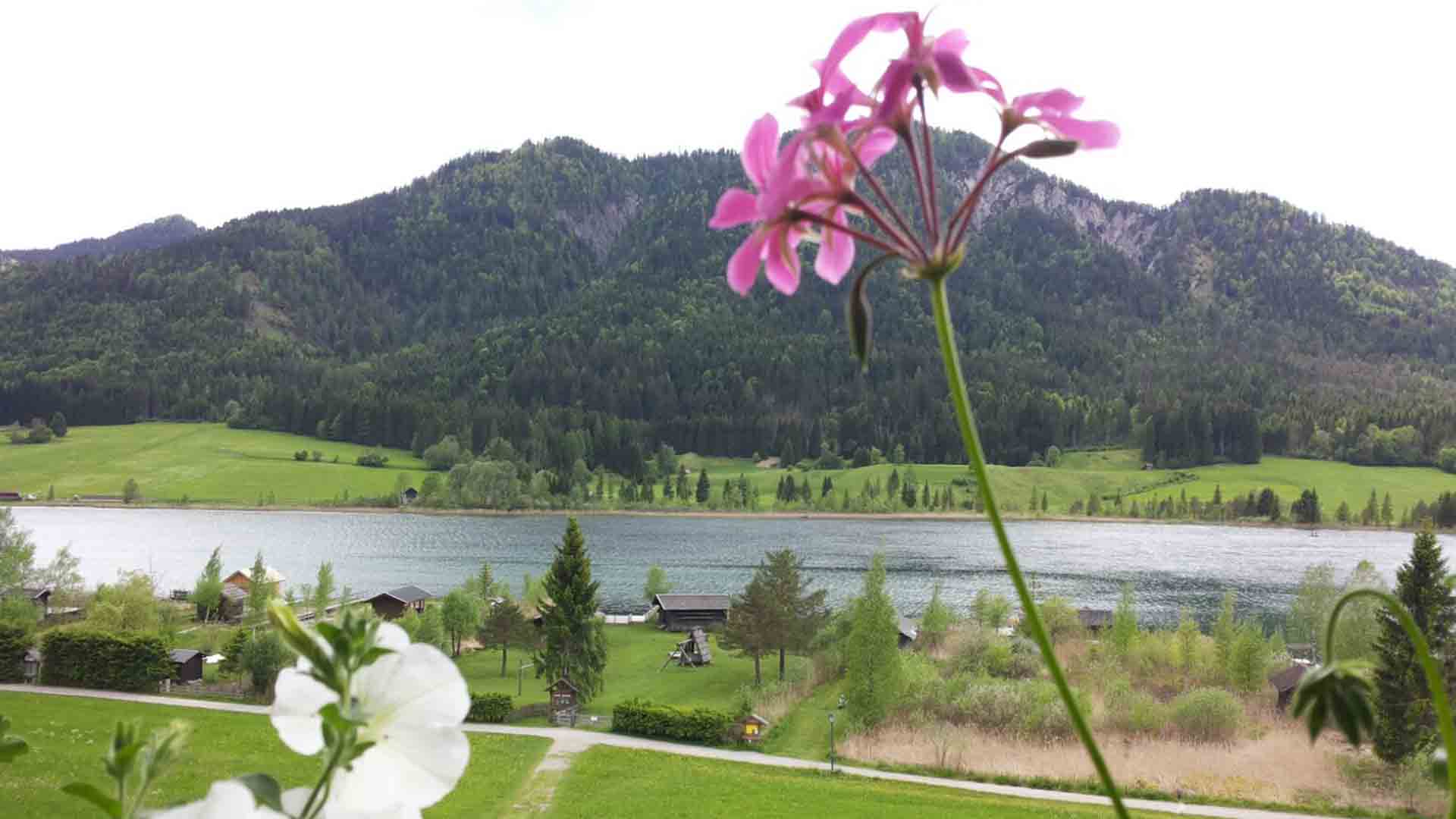 Die-Pension-Winkler-Tuschnig-1