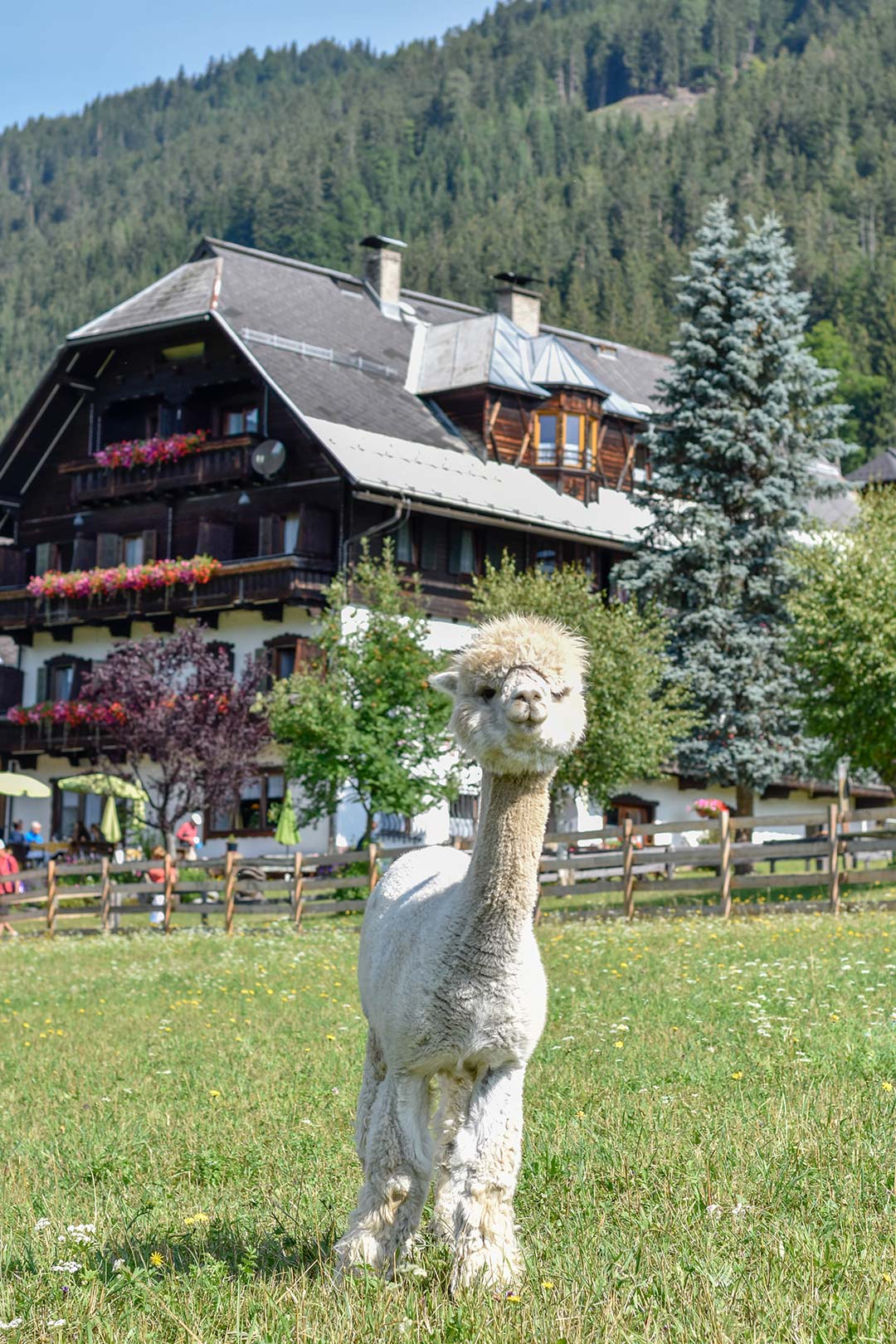 winkler-tuschnig-hotel-32